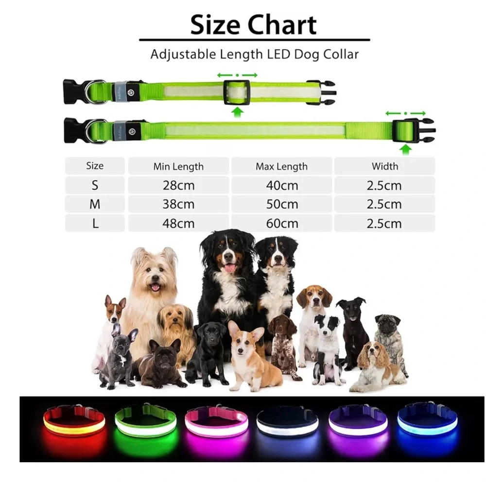 PcEoTllar Light up Dog Collar LED Rechargeable Waterproof Medium nwt - Picture 6 of 7